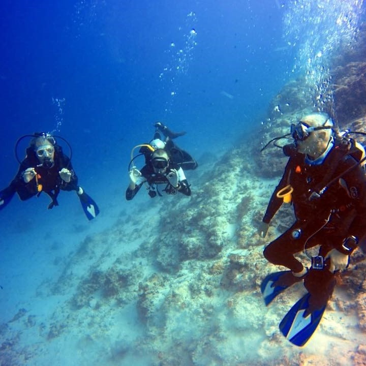 diving zanzibar