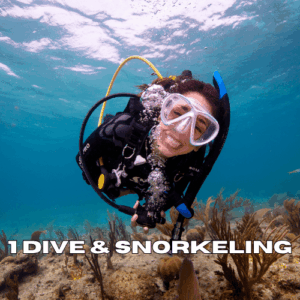 1 scuba dive 1 snorkeling trip zanzibar