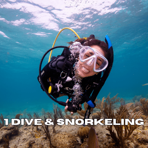 1 scuba dive 1 snorkeling trip zanzibar