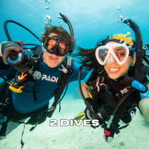 Two scuba divers exploring coral reefs during a 2 dives package in Zanzibar