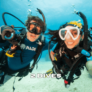 Two scuba divers exploring coral reefs during a 2 dives package in Zanzibar