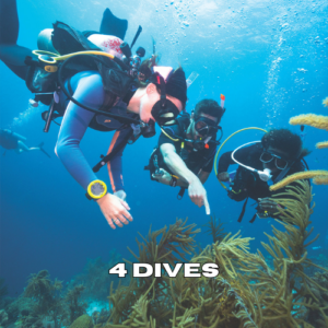 Three scuba divers exploring a coral reef during a 4 dives package in Zanzibar
