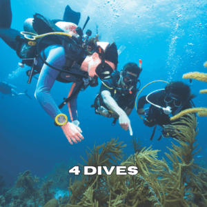 Three scuba divers exploring a coral reef during a 4 dives package in Zanzibar