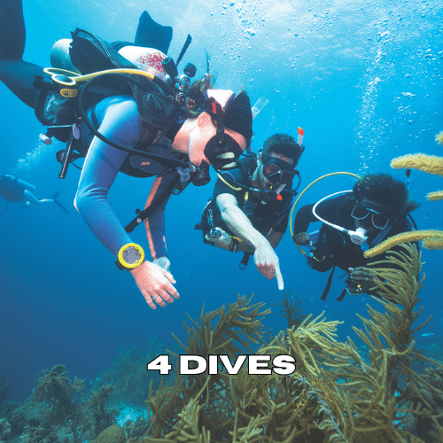 Three scuba divers exploring a coral reef during a 4 dives package in Zanzibar