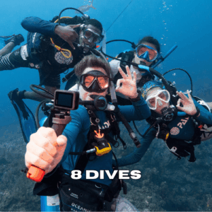 Four scuba divers posing underwater during an 8 dives package in Zanzibar.