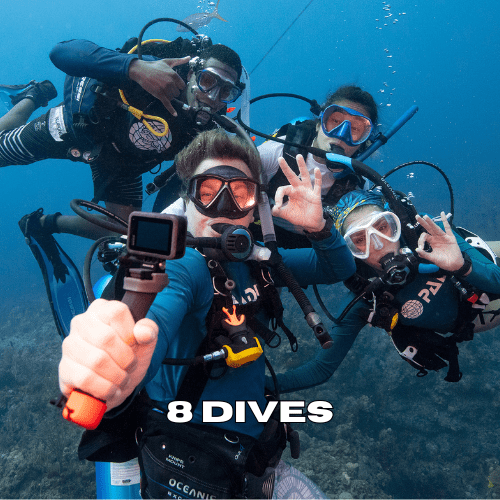 Four scuba divers posing underwater during an 8 dives package in Zanzibar.