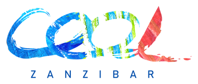 cool zanzibar tansania tours