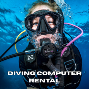 Scuba diver using a dive computer during a dive in Zanzibar