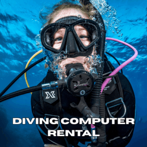 Scuba diver using a dive computer during a dive in Zanzibar
