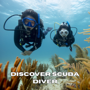 Two divers enjoying a Discover Scuba Diving experience in Zanzibar