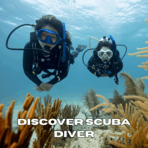 Two divers enjoying a Discover Scuba Diving experience in Zanzibar.