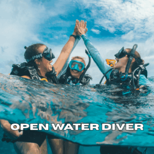 Two scuba divers giving a high five during an Open Water Diver course in Zanzibar