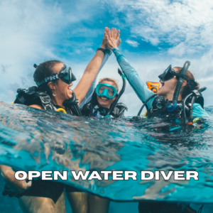 Two scuba divers giving a high five during an Open Water Diver course in Zanzibar
