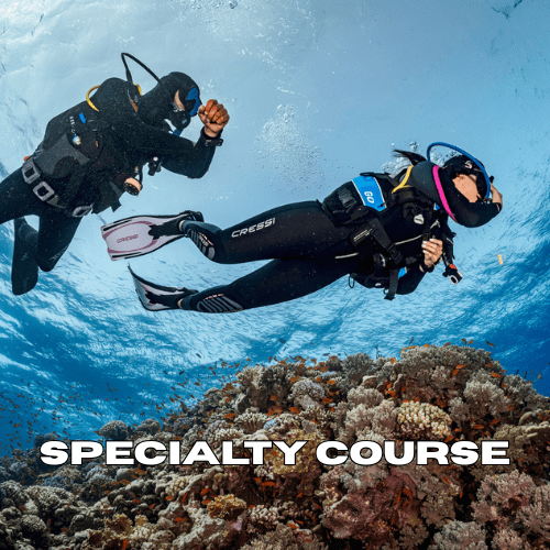 padi specialty course zanzibar